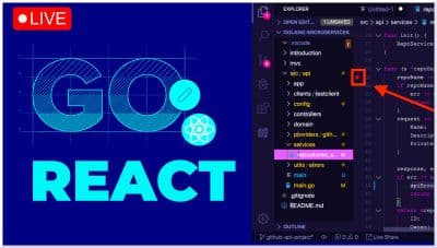 Go React Live (Vitejs, Fiber, Mongodb)